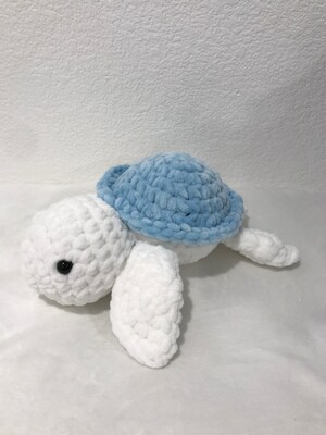 Turtle - image5